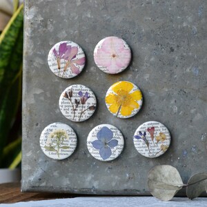 5 Real Pressed Flower Magnets on Vintage Gardening Encyclopedia Pages NEW Stronger Magnets surprise me!