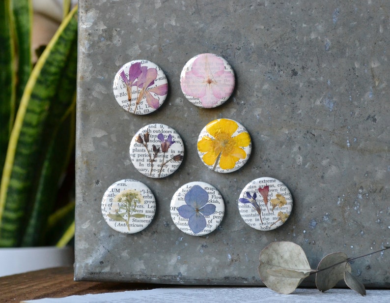 5 Real Pressed Flower Magnets on Vintage Gardening Encyclopedia Pages NEW Stronger Magnets surprise me!