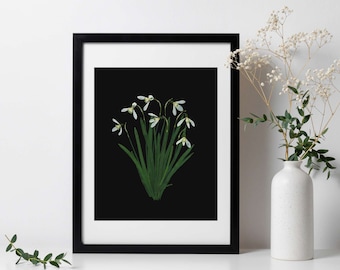 Snowdrop Pressed Flower Art Print with Black Background - 8x10"