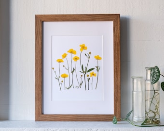 Buttercup Pressed Flower Art Print | 8x10 Botanical Print | Flower Symbolism: childhood memories; riches; self-esteem; ambition