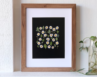 Feverfew (Wild Chamomile) Pressed Flower Print on Black Background - 8x10