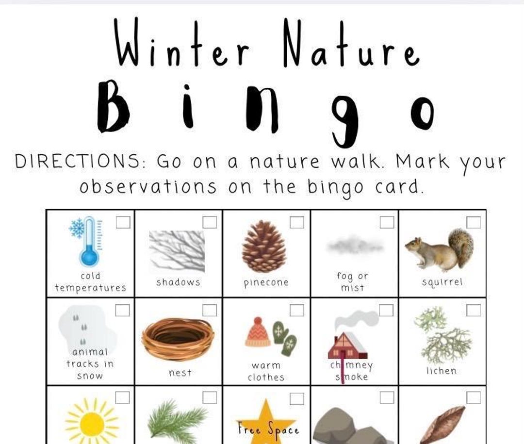 Winter Printable Nature Walk Activity, Instant Download, Nature Bingo ...