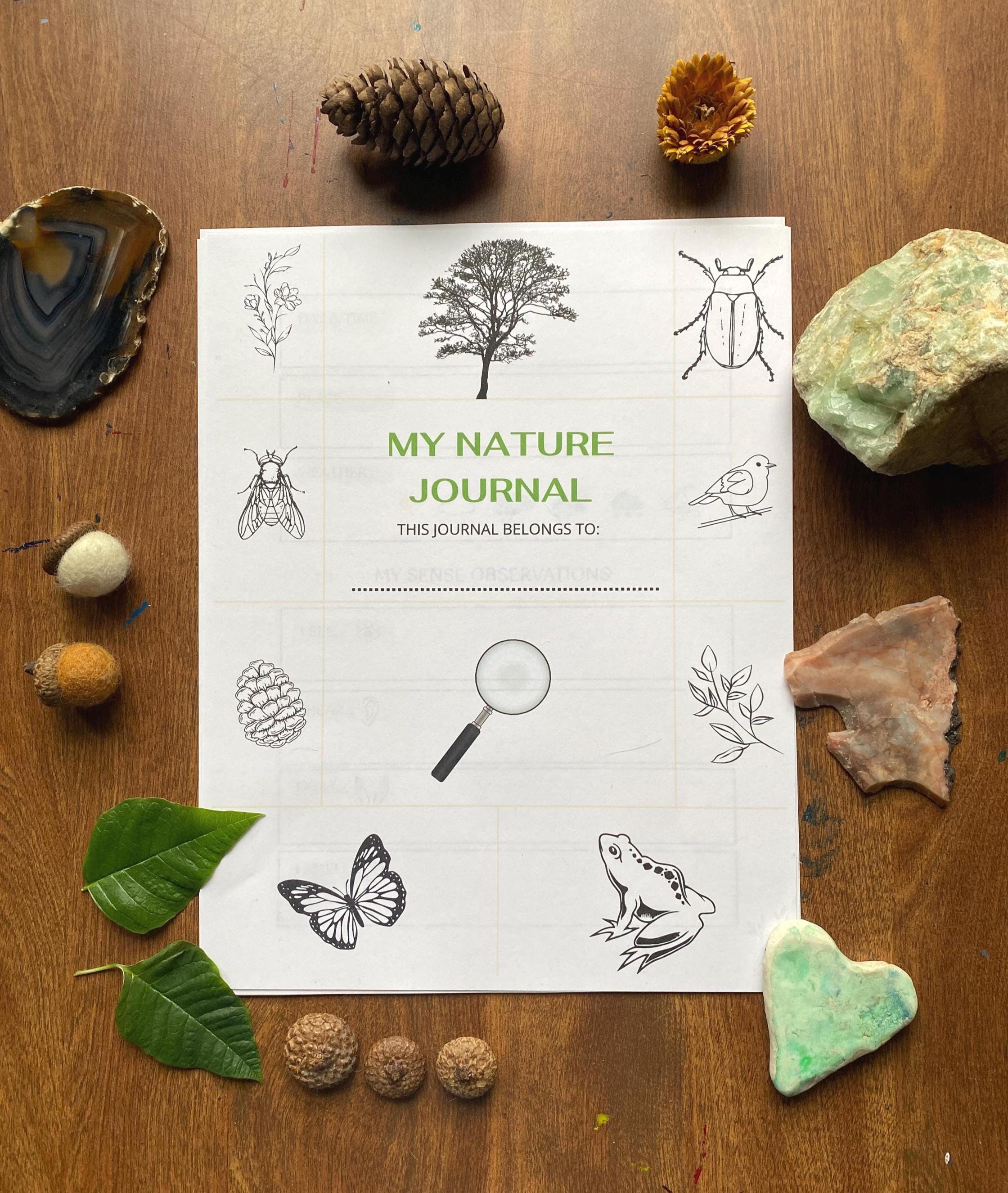 Nature Journal.pdf Printable Nature Journal & Nature Walks, Use All Seasons, Instant ...