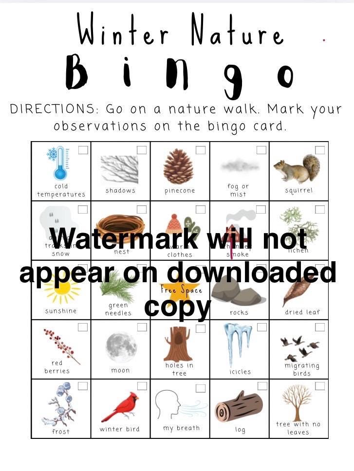 Winter Printable Nature Walk Activity, Instant Download, Nature Bingo ...