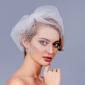 May include: A bride wearing a white strapless wedding dress with lace detailing and a white birdcage veil.