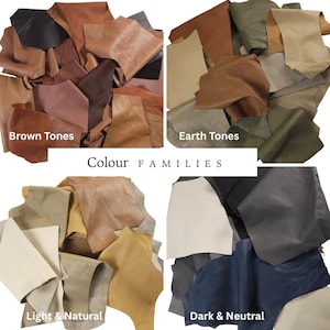 May include: A collection of leather swatches organised into four groups labelled Colour FAMILIES: Brown Tones, Earth Tones, Light & Natural, and Dark & Neutral. Each section displays various leather pieces in shades of brown, tan, olive, cream, black, and navy blue.