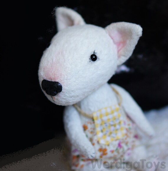 bull terrier teddy