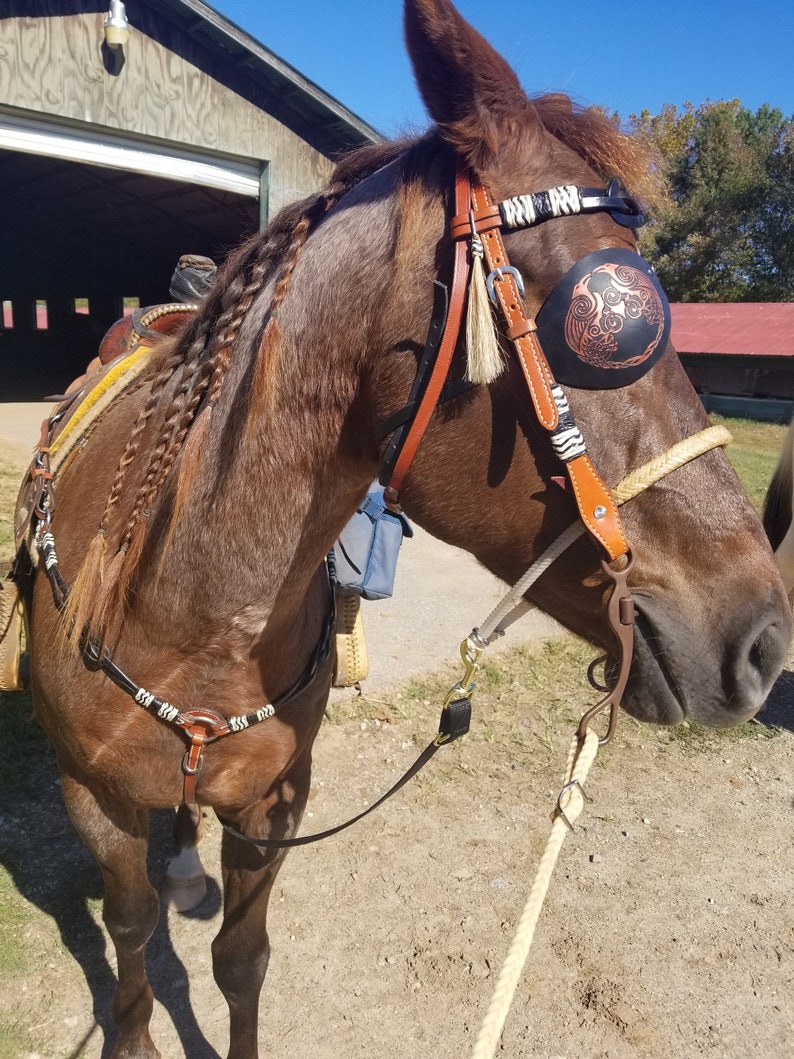 Eye patch for a horse for a horse with a damaged eye or eye Etsy