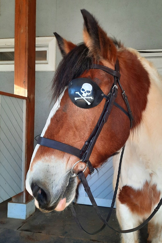 Eye Patch for a Horse for a Horse With a Damaged Eye or Eye Etsy UK