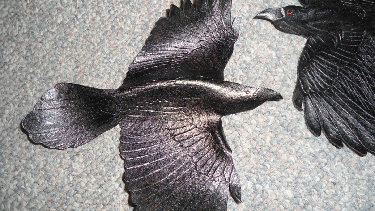 raven wingspan raven wingspan
