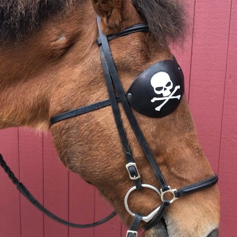 Eye patch for a horse for a horse with a damaged eye or eye Etsy
