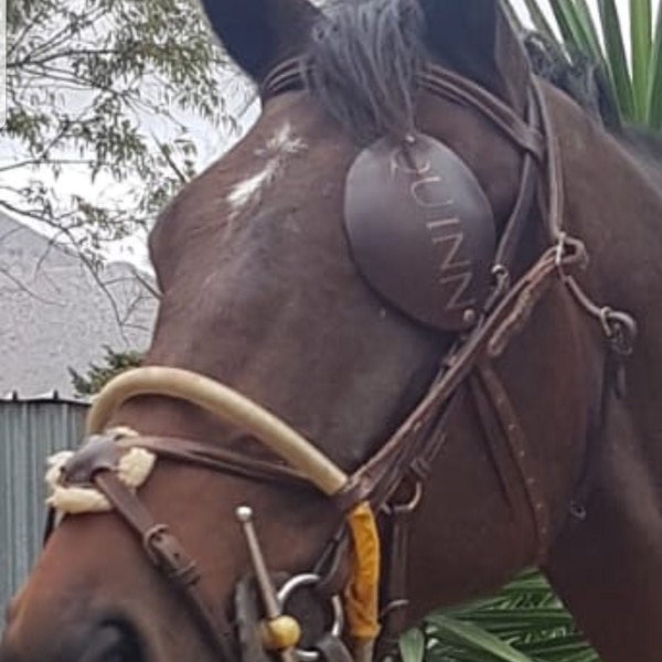 Cache-œil pour cheval - pour un cheval dont l'œil ou le contour des yeux est endommagé