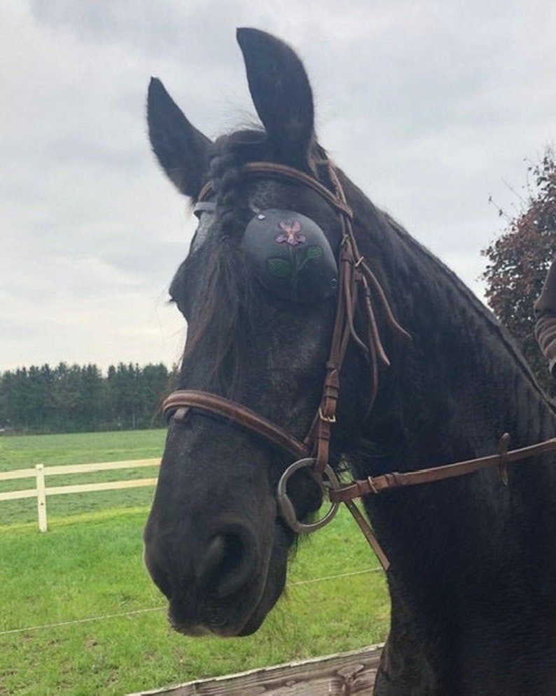 Eye patch for a horse for a horse with a damaged eye or eye Etsy