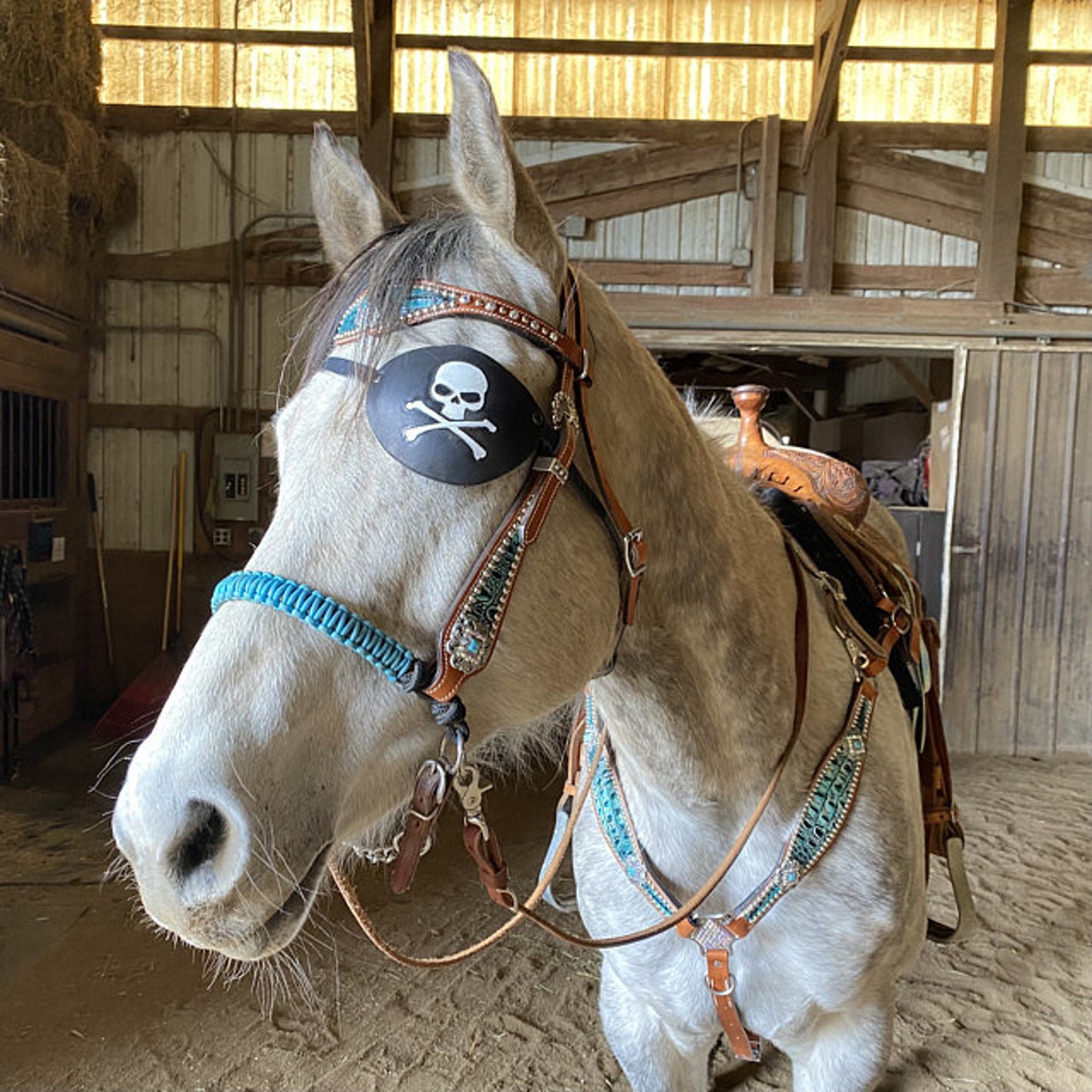 Custom HORSE Eye Patch See All Pictures Eye Patch for a Etsy
