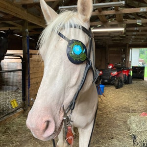 Könnte beinhalten: Ein weißes Pferd mit einem schwarzen Lederzaumzeug und einem blauen und grünen Blumen-Augenklappen. Das Pferd steht in einem Stall mit Heu auf dem Boden.