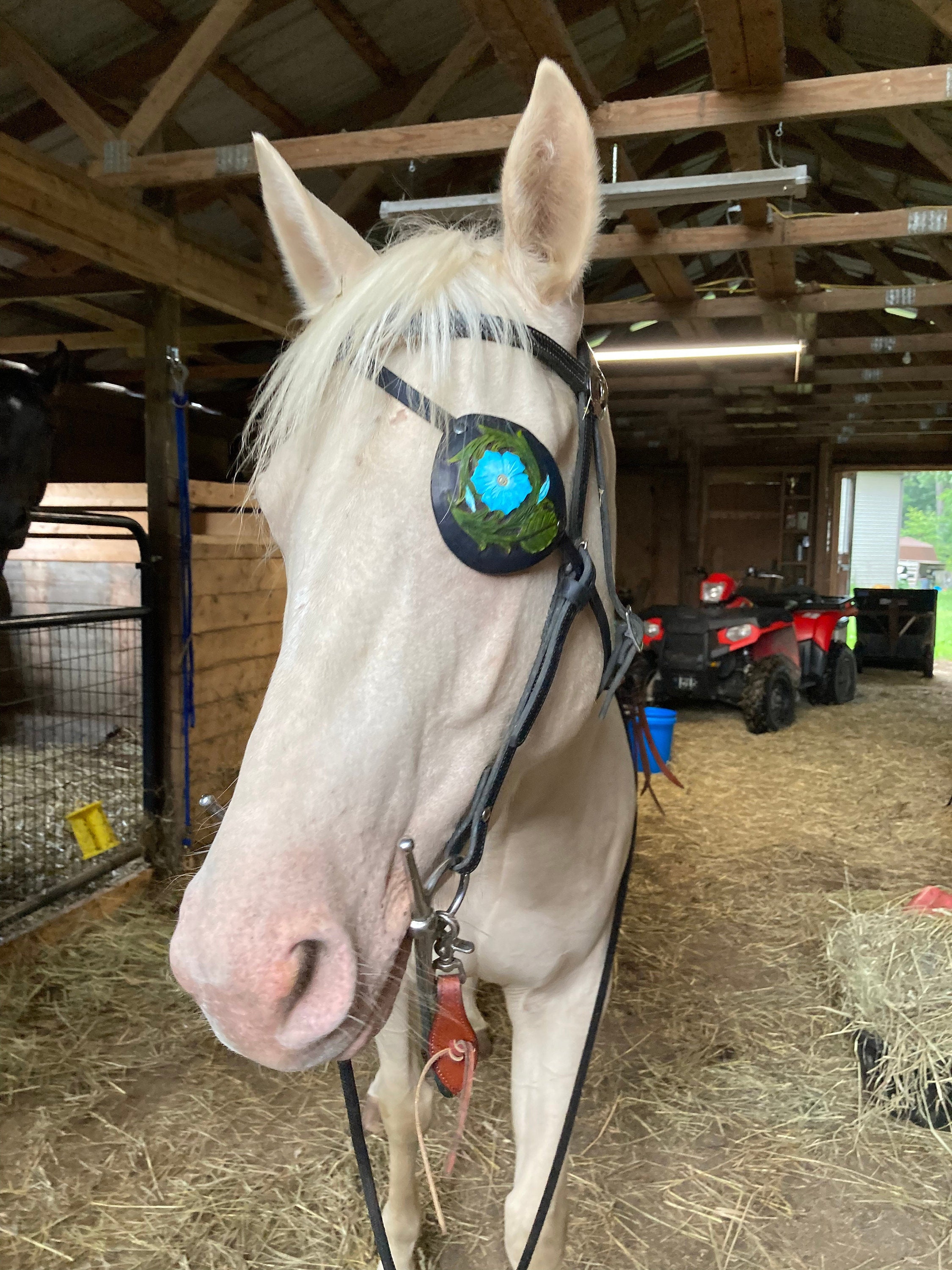Leather Eye patch for a horse - for a horse with a damaged eye or eye area