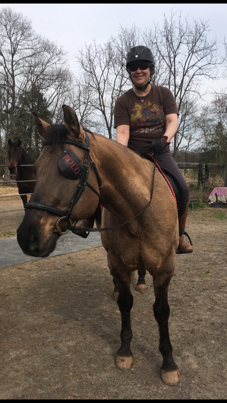 Eye patch for a horse for a horse with a damaged eye or eye Etsy