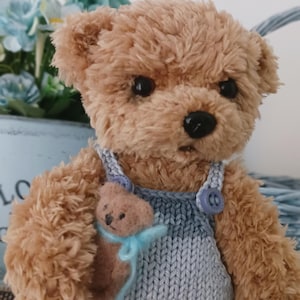 Handmade Teddy Bear with Mini Plush – 19cm Collectible Soft Toy – Movable Limbs – Blue Romper – Cute Gift for Bear Lovers