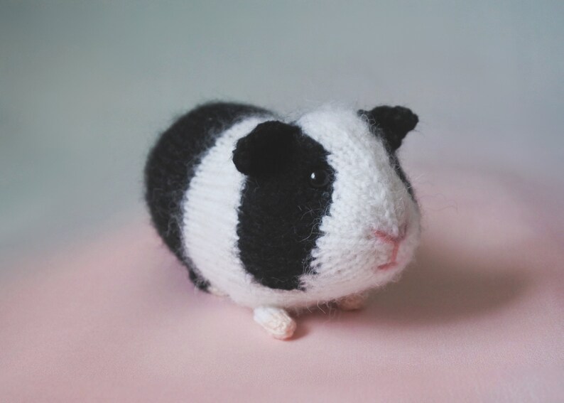 stuffed guinea pig toy