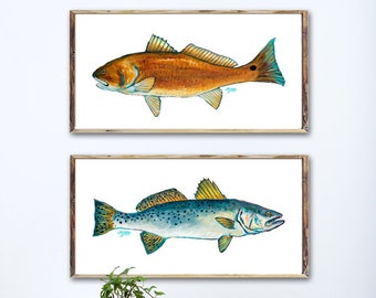 Art Print Set, Gifts for Him, Fisherman Gifts, Fish Art, Discounted Prints, Gallery Wall Art, Coastal Art, Red Fish Art, Fish Painting