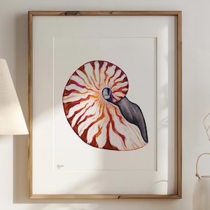 Nautilus Shell Print for Elegant Coastal Home
