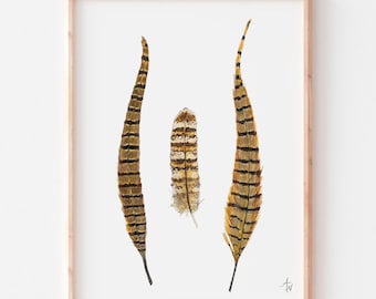 Pheasant Feather Watercolor Art Print – Sporting Art
