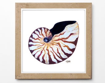 Nautilus Painting Etsy Nautilus Painting Etsy