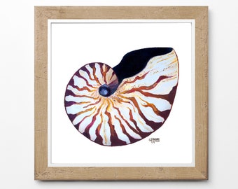 Nautilus Shell Print, Coastal Wall Art, Nautilus Painting, Sea Shell Art, Nautilus Shell Art, Beach House Decor, Art nautique, Coastal Decor