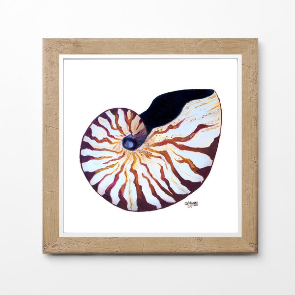Nautilus Shell Print, Coastal Wall Art, Nautilus Painting, Sea Shell Art, Nautilus Shell Art, Beach House Decor, Nautical Art, Coastal Decor