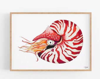 Nautilus Shell Print, Coastal Wall Art, Sea Shell Art, Beach House Decor, Nautical Print