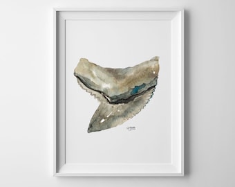 Tiger Shark Tooth Watercolor No. 4, Shark Tooth Print, Shark Art, Seashell Watercolor, Minimalist