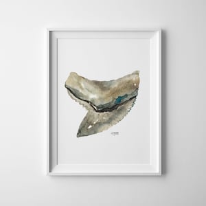 Tiger Shark Tooth Watercolor No. 4, Shark Tooth Print, Shark Art, Seashell Watercolor, Minimalist