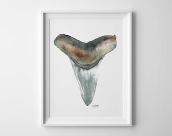 Mako Shark Tooth Art Print Watercolor Style No 5 and Minimalist Art