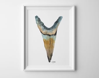 Sand Tiger Shark Tooth Watercolor Art Print, No. 2,  Minimalist Beach Decor