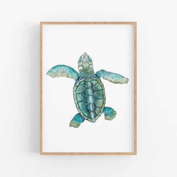 Loggerhead Sea Turtle, Sea Turtle Hatchling, Watercolor Sea Turtle, Sea Turtle Art