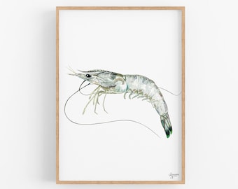 Shrimp Print, Shrimp Watercolor, Shrimp Art