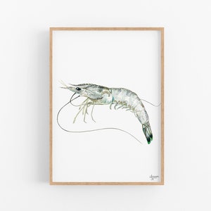 Shrimp Print, Shrimp Watercolor, Shrimp Art