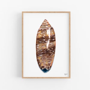 Sea Shell Lettered Olive Print, Sea Shell Art, Beach House Decor, Wall Decor