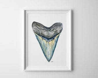 Megalodon Shark Tooth Watercolor Fine Art Print - Shark Tooth No. 1, Beach Art, Minimalist Art