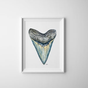 Megalodon Shark Tooth Fine Art Print - Coastal Decor, Beach Art, Minimalist Art