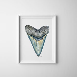 Megalodon Shark Tooth Watercolor Fine Art Print - Shark Tooth No. 1, Beach Art, Minimalist Art