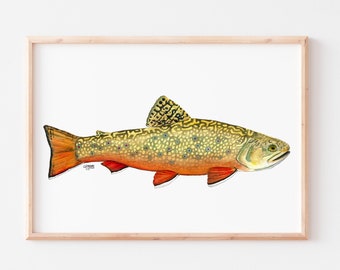Trout Watercolor Art Print, Brook Trout, Dad Gift, Fisherman Gift, Fish Print