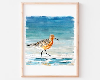 Red Knot, Shorebird Watercolor Print, Coastal Bird Art, Bird Watercolor, Coastal Artwork