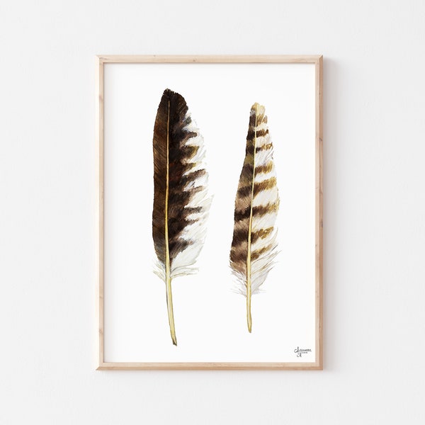 Osprey Feathers, Osprey Painting , Osprey Art, Feather Painting, Feather Artwork