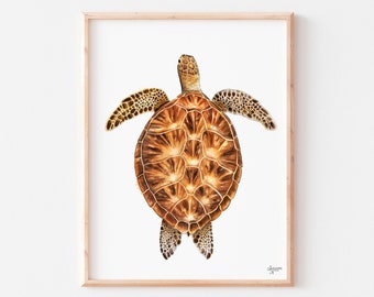 Green Sea Turtle, Sea Turtle Art Print, Turtle Watercolor, Sea Life Art