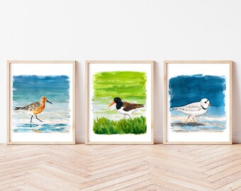 Shorebird Watercolor Art Print Set: Coastal Gallery Wall Art