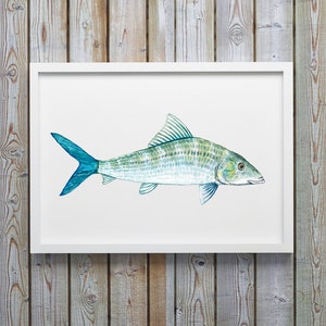 Fly Fishing, Bone Fish, Watercolor Fish, Fish Wall Decor, Nautical Art, Fish Decor, Marine Life, Fish Art, Marine Art, Mens Gift