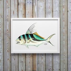 Rooster Fish Watercolor Art Print, Fish Wall Decor, Fish Print, Coastal Art