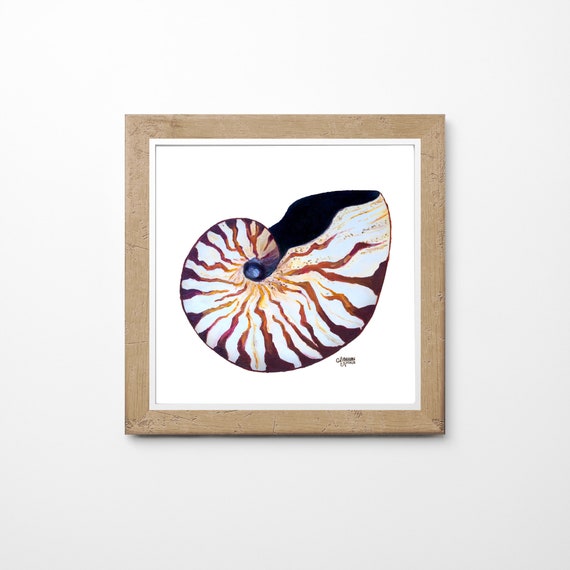 Nautilus Shell Print Coastal Wall Art Nautilus Painting Sea Etsy
