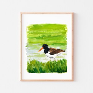 American Oystercatcher, American Oystercatcher Painting, Shore Bird Art, Coastal Bird Artwork, Bird Watercolor, Bird Art